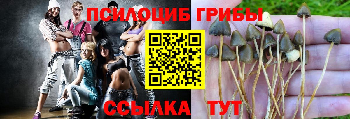 Назрань  Галлюциногенные грибы мухоморы  Вход с VPN  Галлюциногенные грибы Psilocybine cubensis 