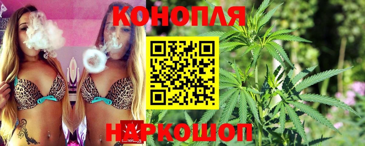 Бошки Шишки планчик Назрань